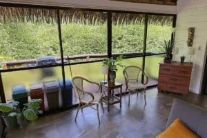 Interior view of a natural jungle home with screened porch and lush greenery.