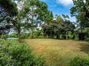 Creekside lot with mature trees, lawn, and flowering shrubs.