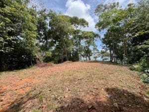Ridge top land clearing with trees and distant ocean view in Costa Rica.