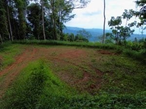 Elevated Costa Rica lot with grassy clearing, surrounding trees, and distant ocean horizon.