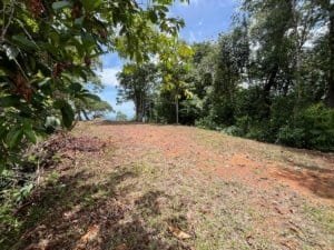 Ridge top Costa Rica land with scattered vegetation and a view toward the ocean.