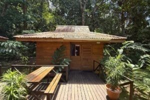 Wooden jungle cabin with deck and lush greenery in Dominical, Costa Rica.