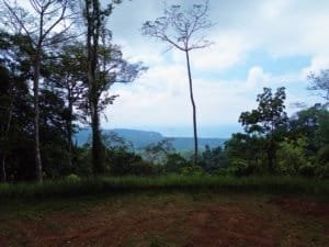Dominical real estate: elevated ocean view land with jungle surroundings and distant coastline.