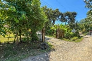 Lush tropical jungle hotel entrance with trees, gravel path, and river setting.