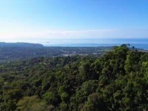 Elevated coastal view over lush jungle in Dominical, Costa Rica with ocean horizon.