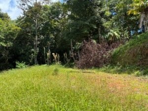 Dominical real estate land with green grass, trees, and hillside in Costa Rica.