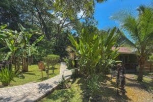 Lush tropical garden with pathway, palm trees, and vibrant greenery in Dominical.