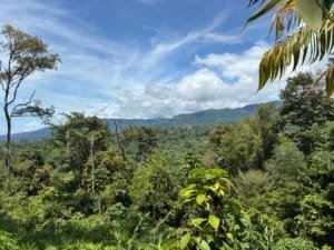 Dominical real estate scenic hillside forest with distant mountains and blue sky.
