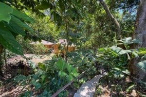 Lush tropical jungle with hotel and river setting in Dominical, Costa Rica.
