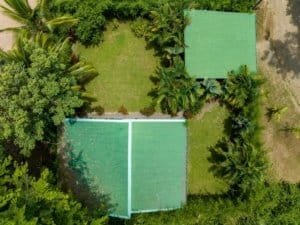 Aerial view of a green-roof house surrounded by palm trees and lush tropical landscaping in Dominial.