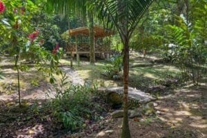 Lush tropical jungle with a wooden gazebo and river setting in Dominical.