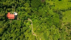 Aerial shot of a red-roof villa surrounded by dense green forest and winding path.