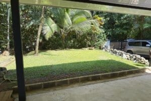 Panoramic tropical garden with palm trees and a grassy lawn in Dominical Costa Rica.