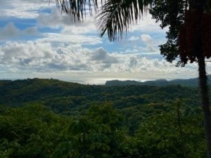 Panoramic ocean view from a Costa Rica ridge with lush tropical forest and palm fronds.
