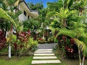 Lush tropical garden with pathway leading to a condo in Dominical, Costa Rica.