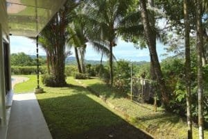 Panoramic ocean view from a fenced yard with palm trees and lush greenery.