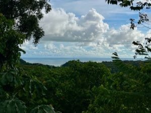 Ridge-top land with lush green trees, blue sky, and distant ocean horizon.