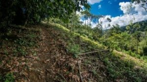 Mountain land with lush greenery and scenic views in Dominical, Costa Rica.