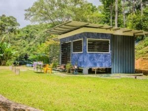 Modern blue container home with terraces in lush green setting.