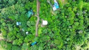 A lush tropical forest with scattered houses and a winding road in Costa Rica.