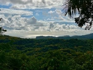 Dominical area rainforest with distant ocean horizon and cloudy sky.