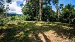 Scenic mountain land with ocean view, lush trees, and clear sky.