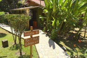 Pathway leading to jungle cabins with lush tropical plants in Dominical.