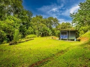 Lush green yard with small blue container home and surrounding trees.