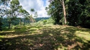 Incredible mountain view land with ocean window and private driveway in Dominical.