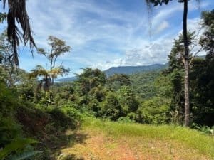Ocean view from a hillside in Dominical, tropical forest and blue sky.