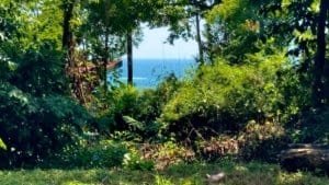 Scenic mountain land with ocean view, lush greenery, and trees in Costa Rica.