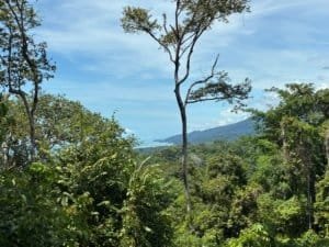 Ocean view tropical land with trees and hills in Costa Rica.