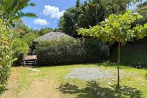 Tropical garden with lush greenery, small pool, and gazebo in Dominical.