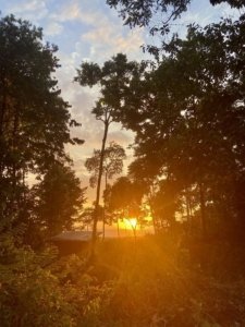 Scenic mountain land with sunset view and lush trees in Dominical, Costa Rica.