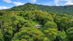 Dominical real estate: secluded hillside home among lush tropical forest with dense trees.