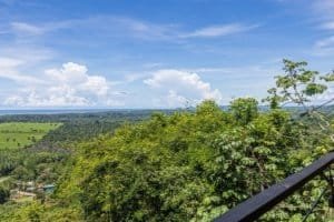 Panoramic ocean sunset view from balcony with lush greenery and distant fields.