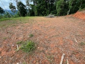 Rough cleared hillside lot with soil, sparse grass, and surrounding trees, Costa Rica real estate.