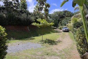 Lush tropical jungle with a driveway, car, and trees in Costa Rica.