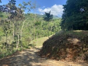 Incredible mountain view land with ocean view, dual building sites, and private driveway.