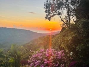 Sunset over lush hills and vibrant pink flowers in Dominical, Costa Rica.