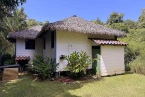 Charming jungle home with thatched roof and lush greenery in Costa Rica.