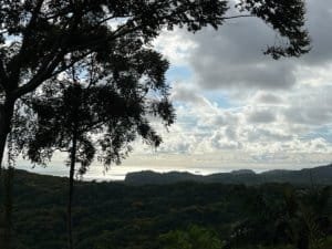 Panoramic ocean view from a forested hillside in Dominical, Costa Rica.