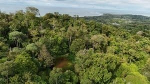 Ocean view private land with dense tropical forest near Dominical, Costa Rica.