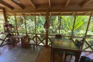 Balcony overlooking lush tropical jungle with dining area and seating.