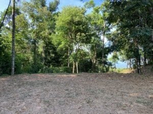 Scenic mountain view land with lush trees and ocean glimpse in Dominical.
