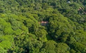 A lush Costa Rica forest with a small house nestled among dense green trees.