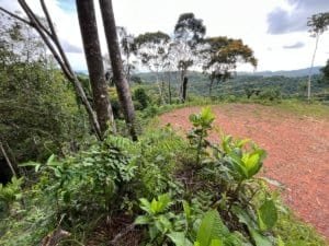Panoramic ridge top land with green foliage and distant valley view in Costa Rica.