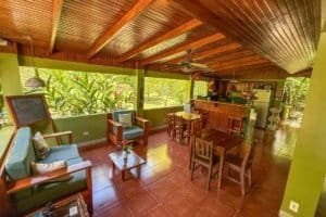 Interior of a tropical jungle hotel with wooden ceiling and green walls.