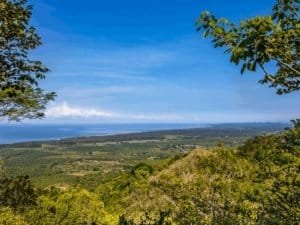 Scenic ocean view from a tropical rainforest estate in Dominical, Costa Rica.