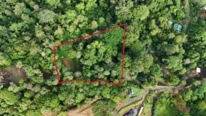 Aerial view of a forested land parcel with red boundary, Costa Rica real estate near Dominical.